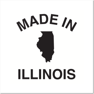 Made in Illinois Posters and Art